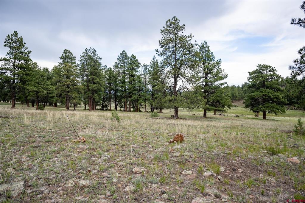 2615 Echo Canyon Ranch Lane Pagosa Springs CO 81147
