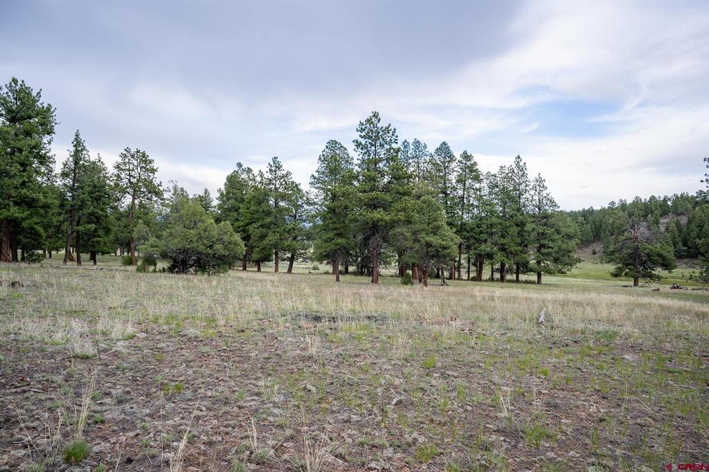 2615 Echo Canyon Ranch Lane Pagosa Springs CO 81147