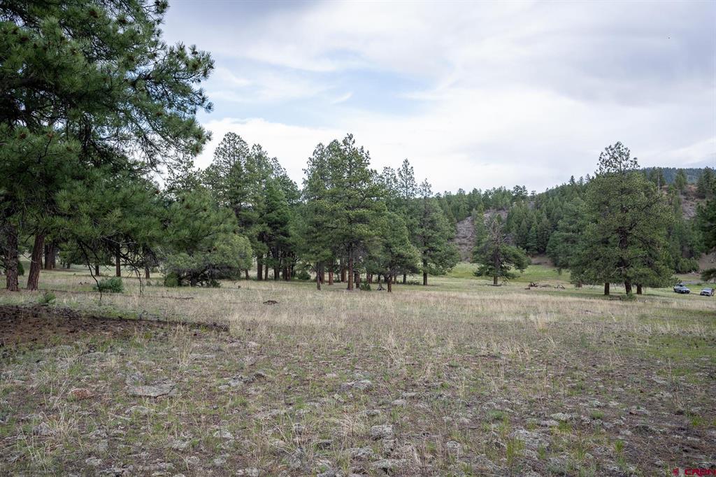 2615 Echo Canyon Ranch Lane Pagosa Springs CO 81147