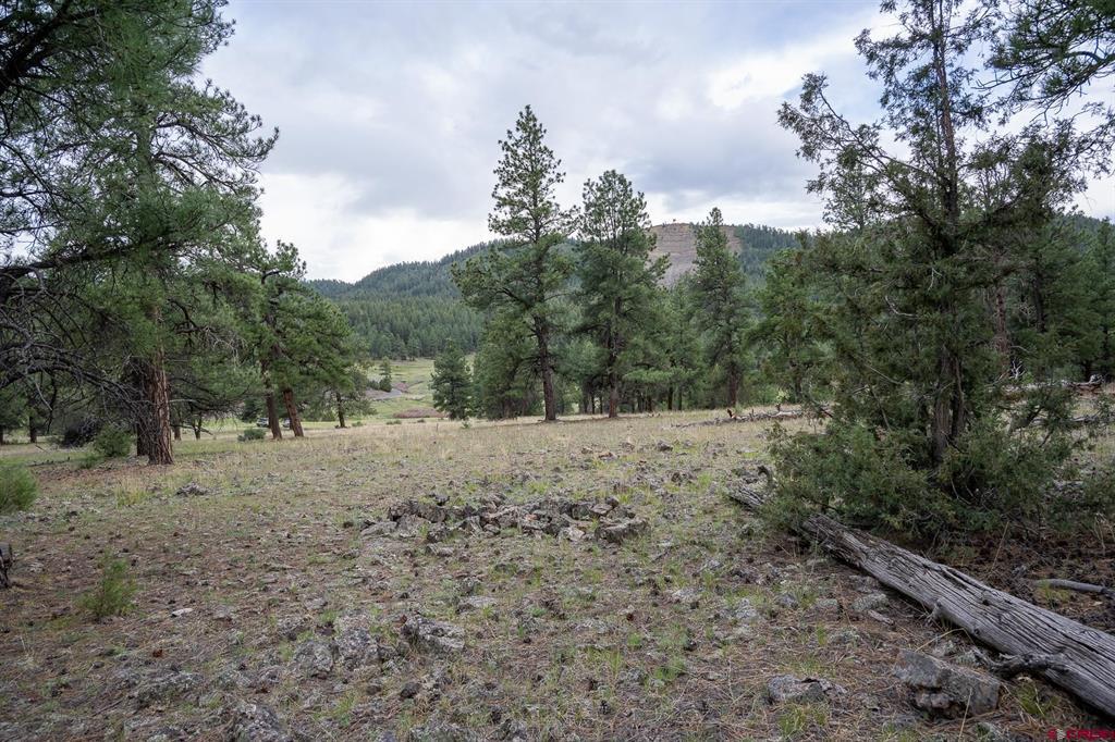 2615 Echo Canyon Ranch Lane Pagosa Springs CO 81147