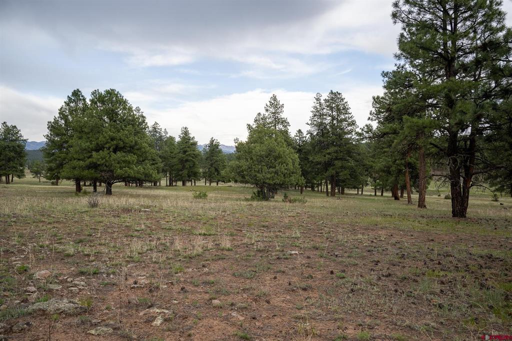 2615 Echo Canyon Ranch Lane Pagosa Springs CO 81147