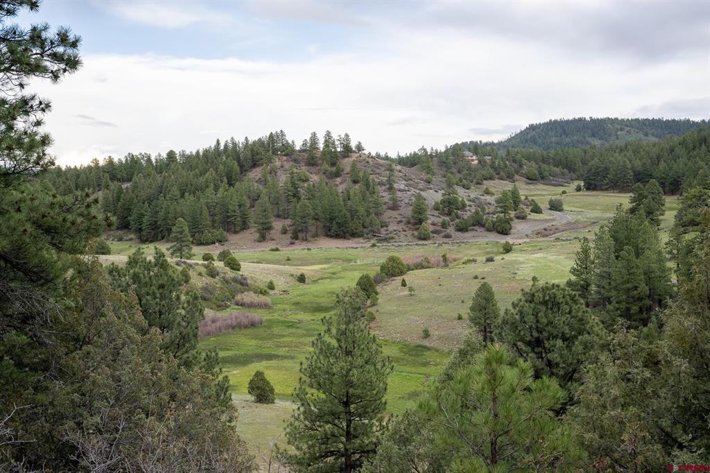 2615 Echo Canyon Ranch Lane Pagosa Springs CO 81147