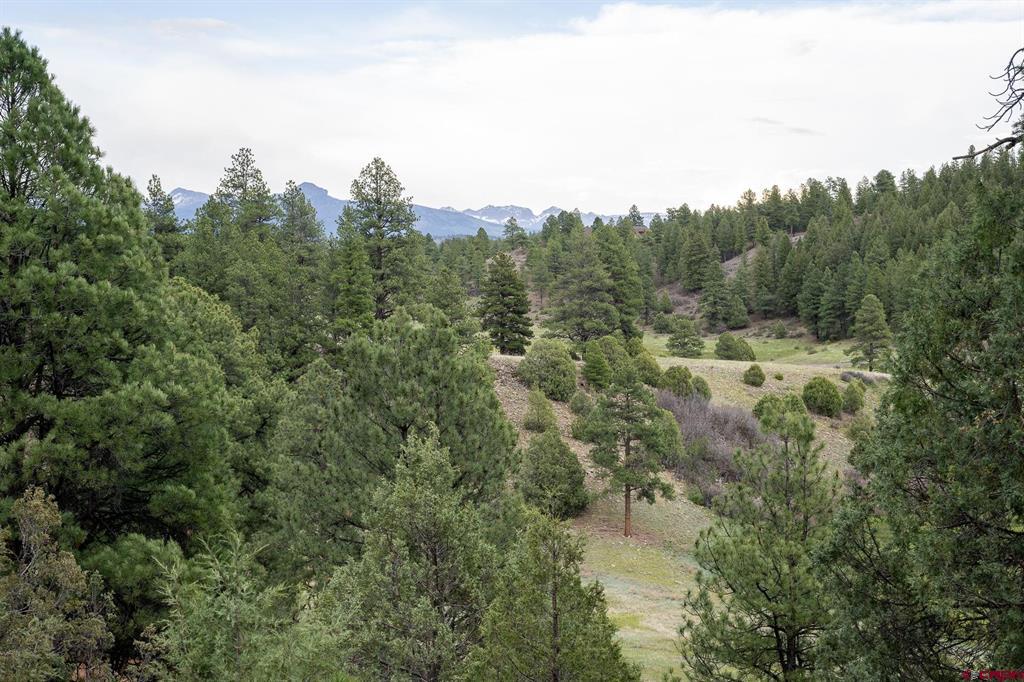 2615 Echo Canyon Ranch Lane Pagosa Springs CO 81147