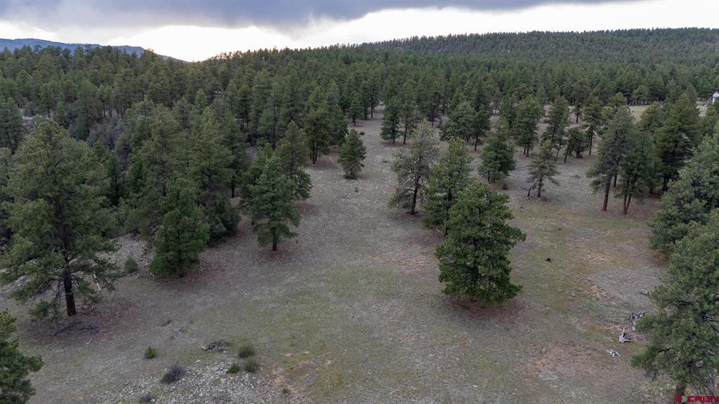 2615 Echo Canyon Ranch Lane Pagosa Springs CO 81147