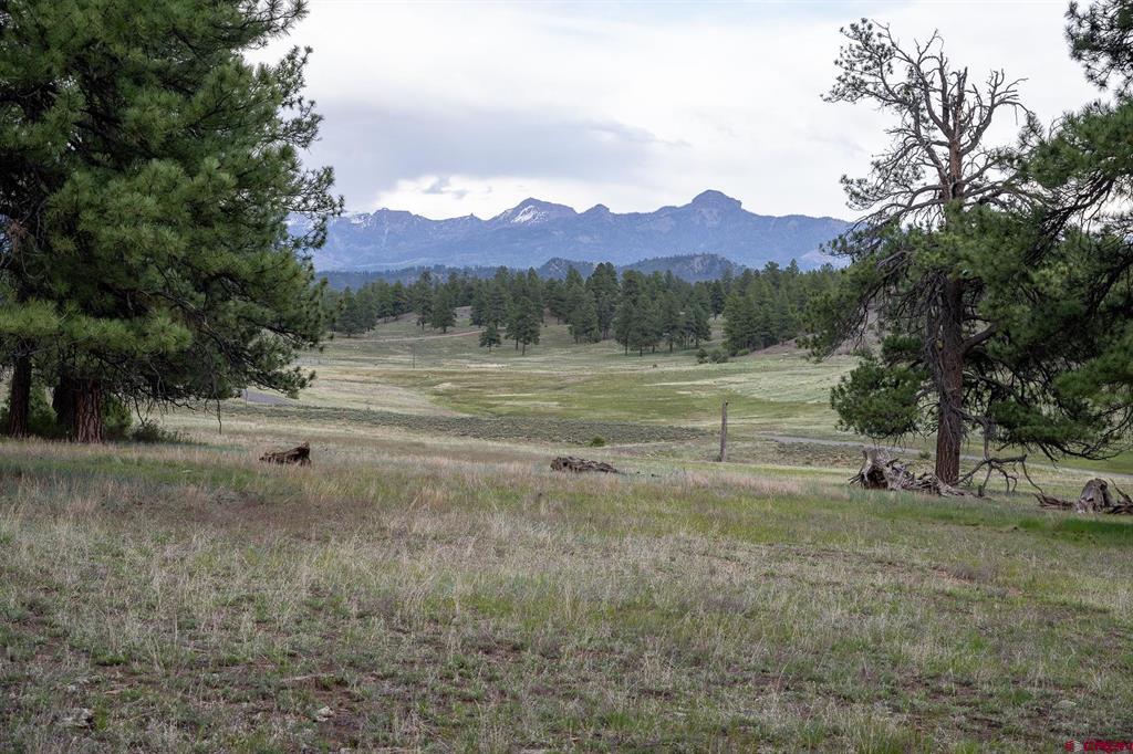 2615 Echo Canyon Ranch Lane Pagosa Springs CO 81147