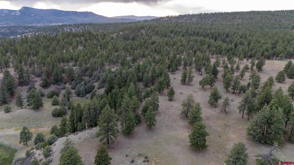 2615 Echo Canyon Ranch Lane Pagosa Springs CO 81147