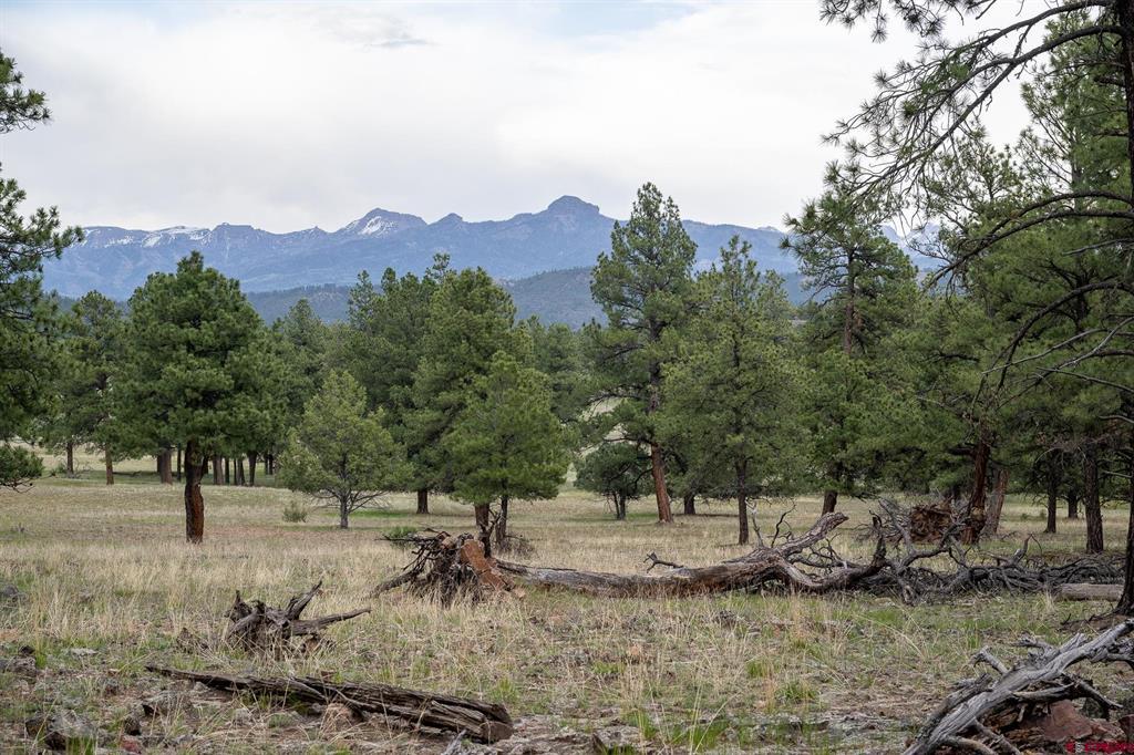2615 Echo Canyon Ranch Lane Pagosa Springs CO 81147