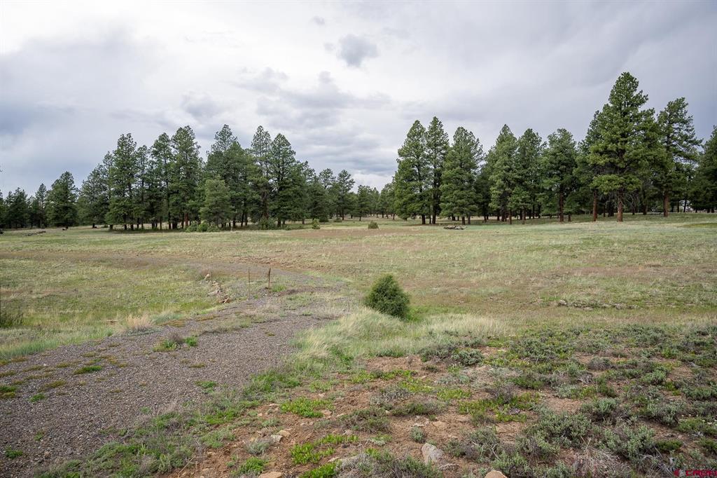 2615 Echo Canyon Ranch Lane Pagosa Springs CO 81147