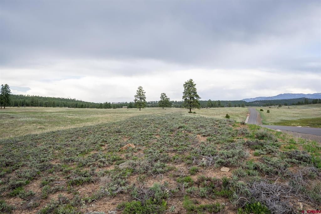 2615 Echo Canyon Ranch Lane Pagosa Springs CO 81147