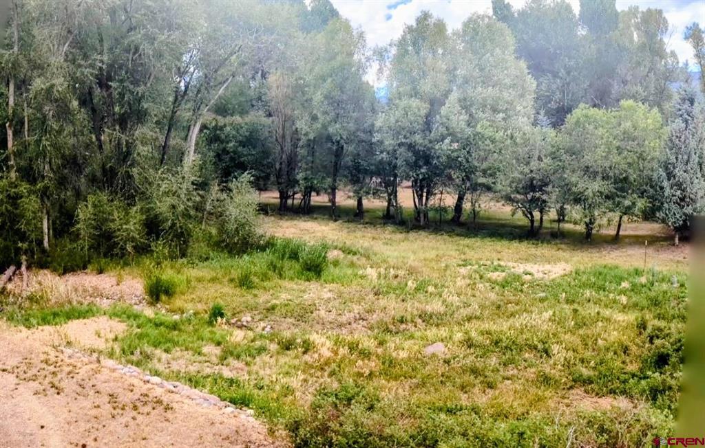 29 Apache Trail South Fork CO 81154