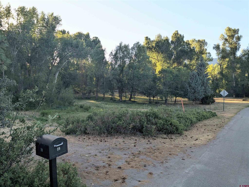 29 Apache Trail South Fork CO 81154