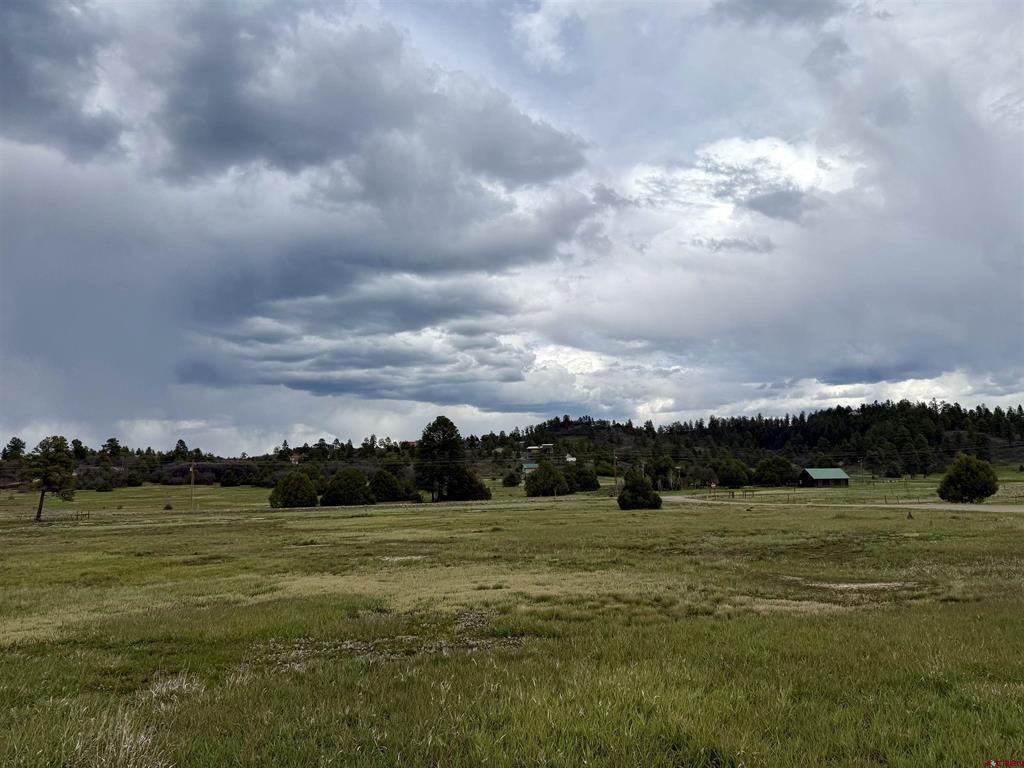 49 Marmot Court Pagosa Springs CO 81147