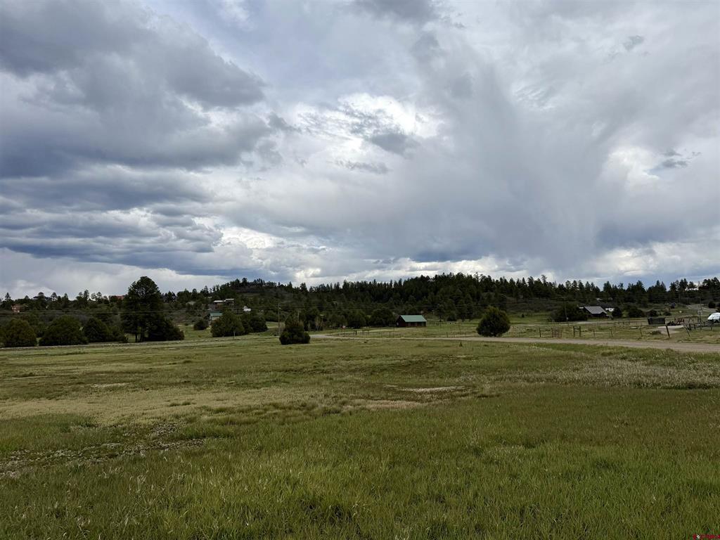 49 Marmot Court Pagosa Springs CO 81147