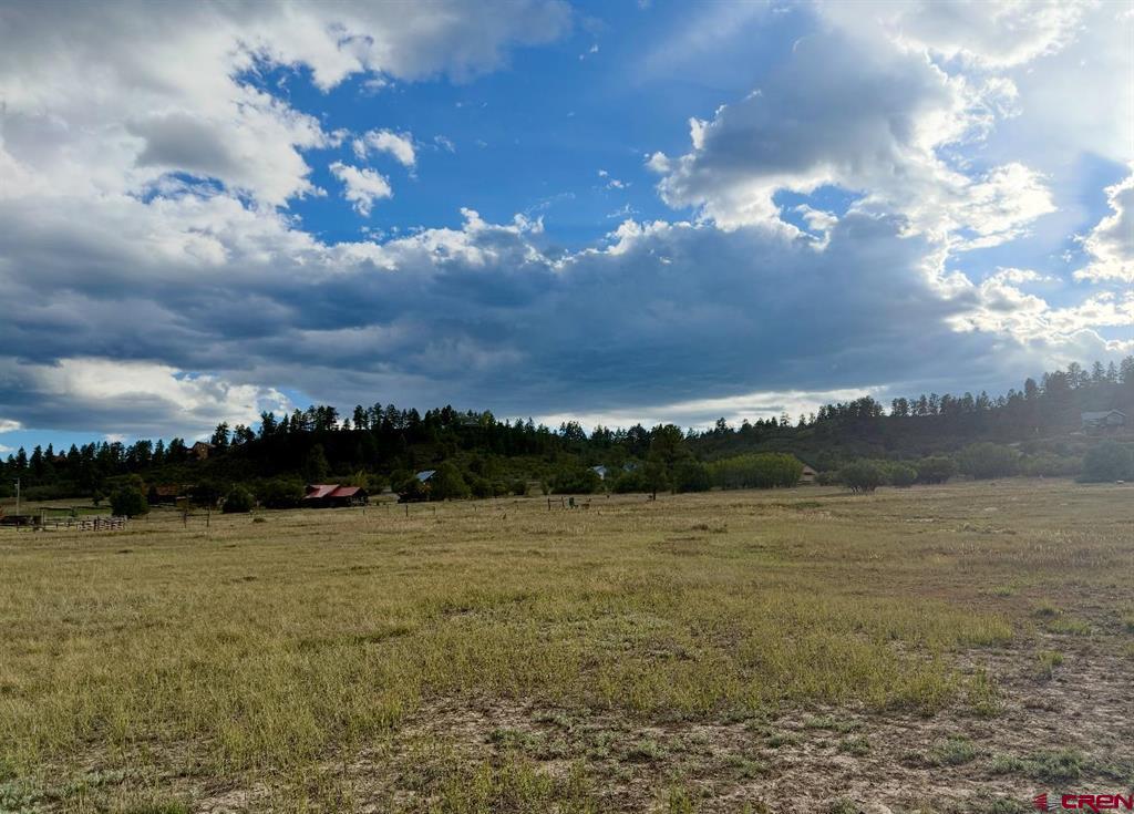 49 Marmot Court Pagosa Springs CO 81147