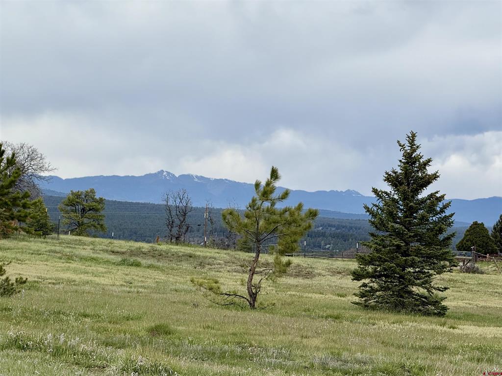 49 Marmot Court Pagosa Springs CO 81147