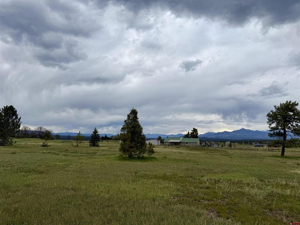 49 Marmot Court Pagosa Springs CO 81147