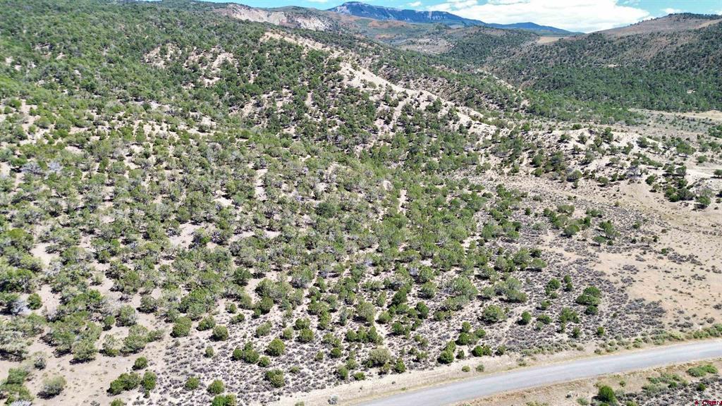 Tbd Lot 21 7250 Road Montrose CO 81403