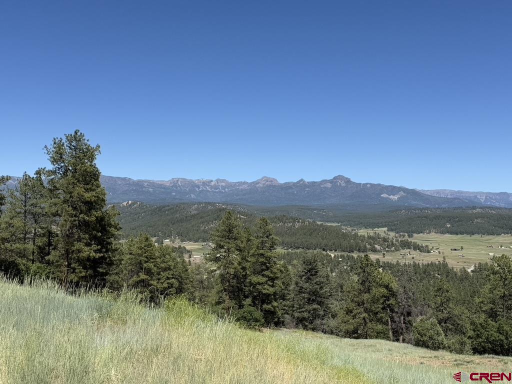Pagosa Springs CO, 281 Alder