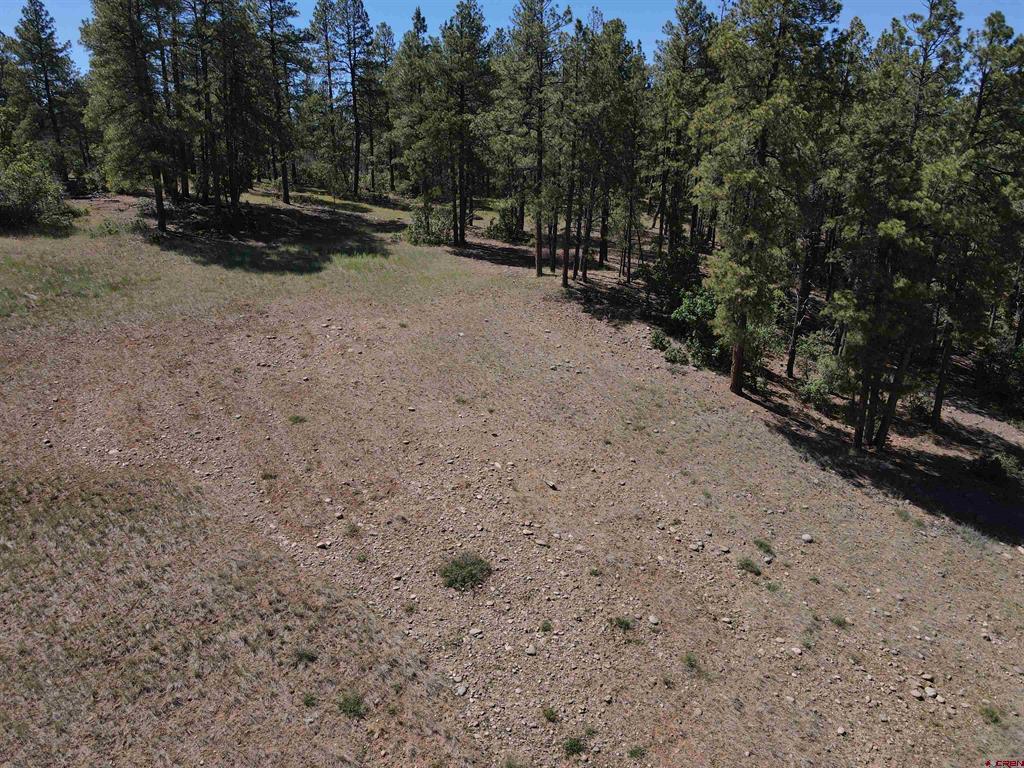 281 Alder Place Pagosa Springs CO 81147