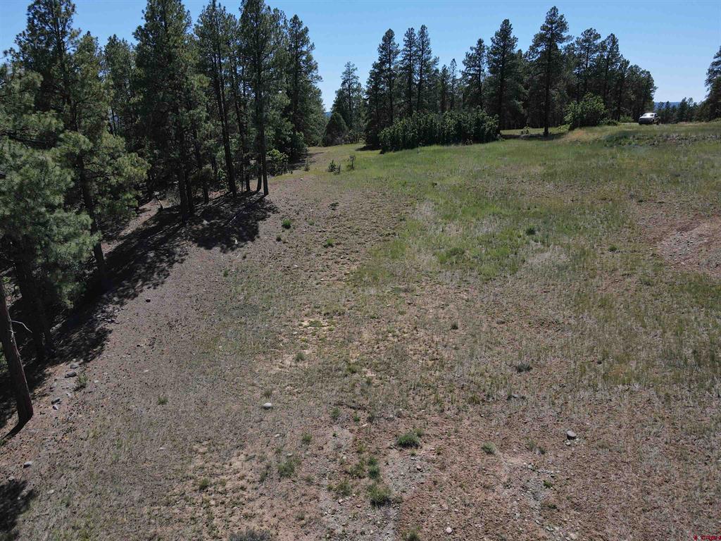 281 Alder Place Pagosa Springs CO 81147