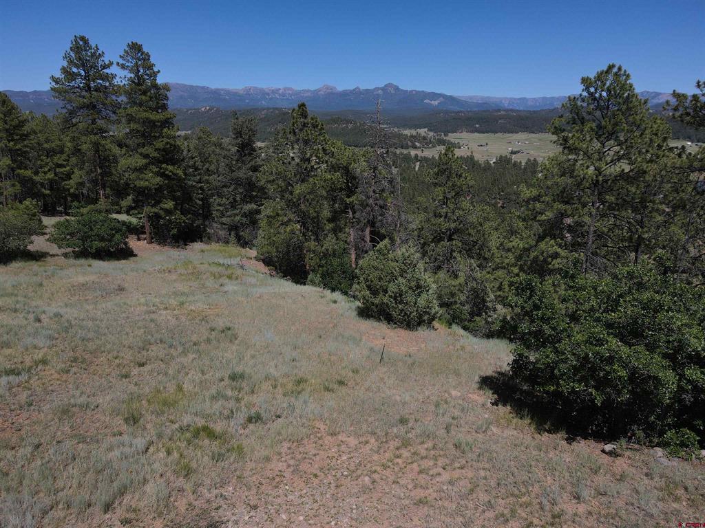 281 Alder Place Pagosa Springs CO 81147