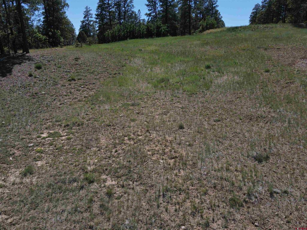 281 Alder Place Pagosa Springs CO 81147