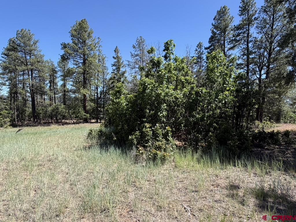 281 Alder Place Pagosa Springs CO 81147