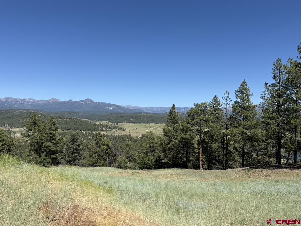 281 Alder Place Pagosa Springs CO 81147