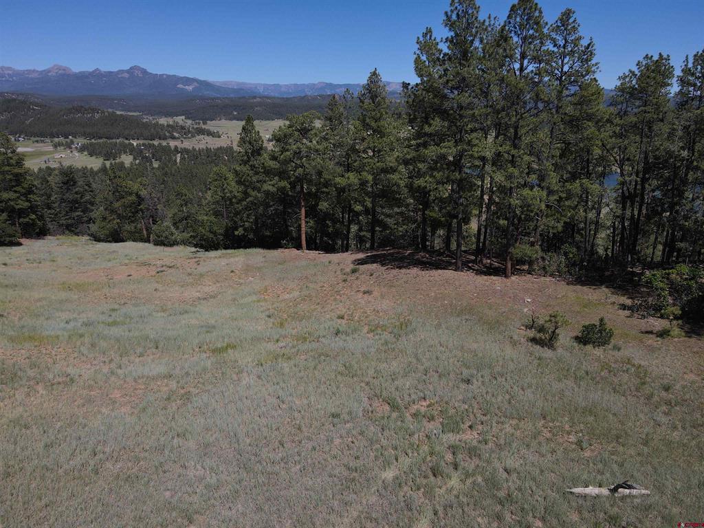 281 Alder Place Pagosa Springs CO 81147