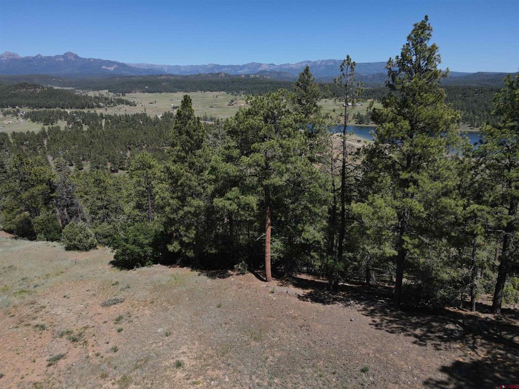 281 Alder Place Pagosa Springs CO 81147