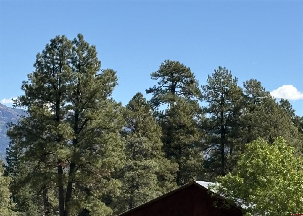 X Rob Snow Road Pagosa Springs CO 81147