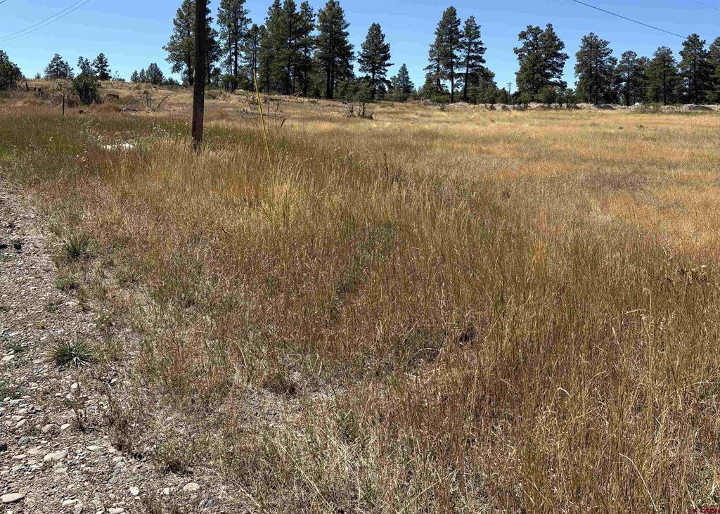 X Rob Snow Road Pagosa Springs CO 81147