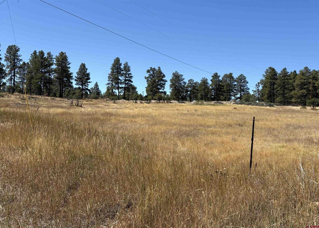 X Rob Snow Road Pagosa Springs CO 81147