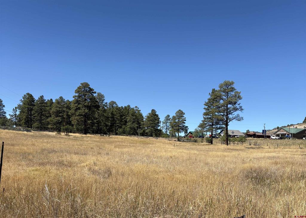 X Rob Snow Road Pagosa Springs CO 81147