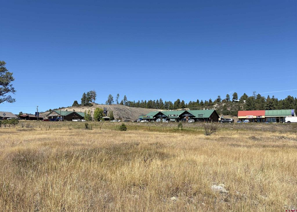 X Rob Snow Road Pagosa Springs CO 81147