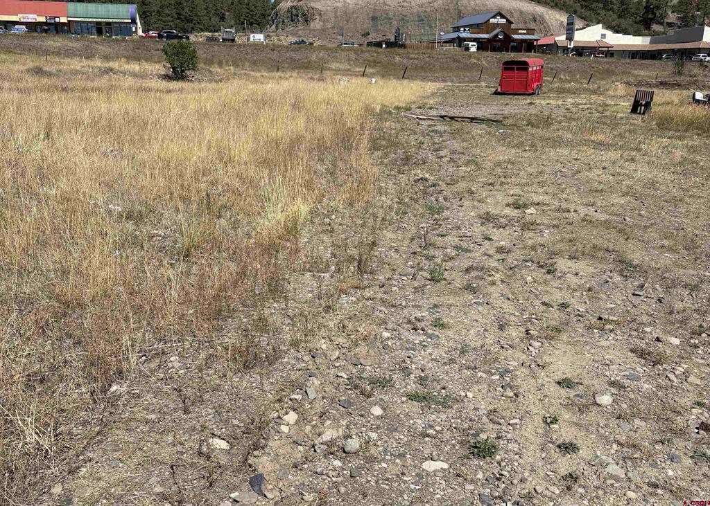 X Rob Snow Road Pagosa Springs CO 81147