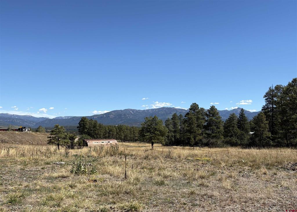 X Rob Snow Road Pagosa Springs CO 81147