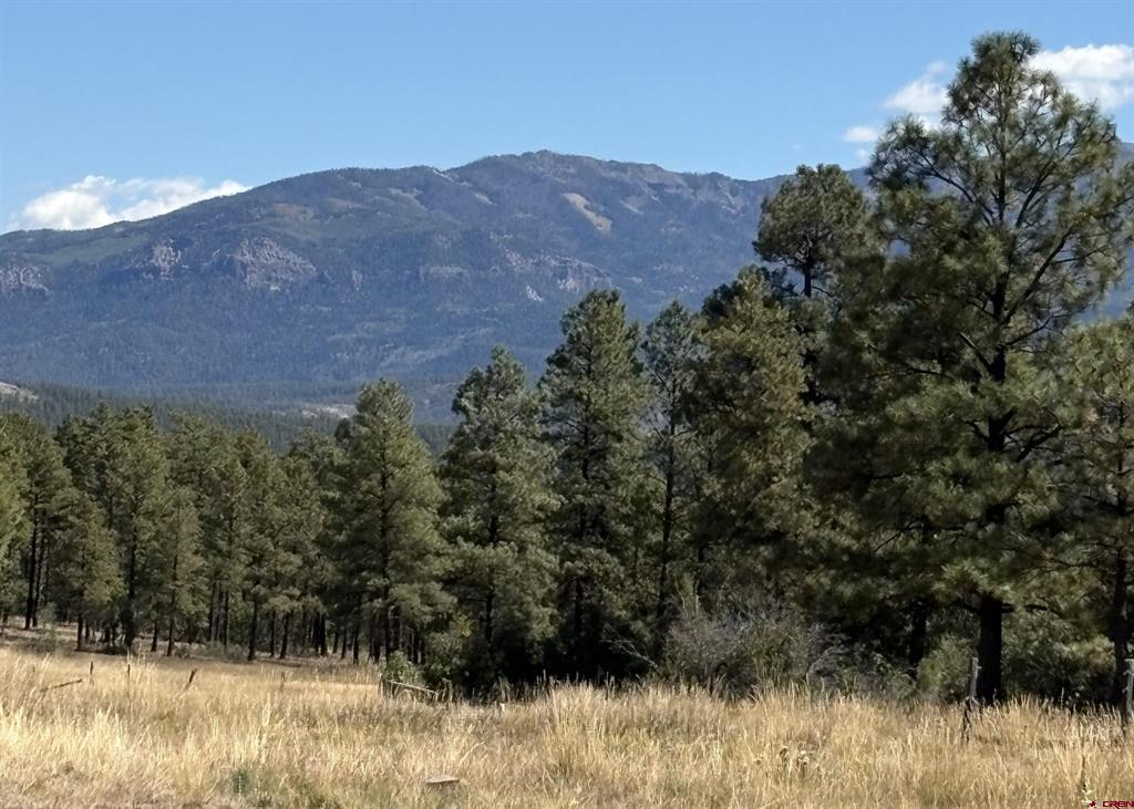 X Rob Snow Road Pagosa Springs CO 81147