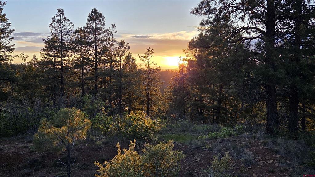 157 Carey's Court Pagosa Springs CO 81147