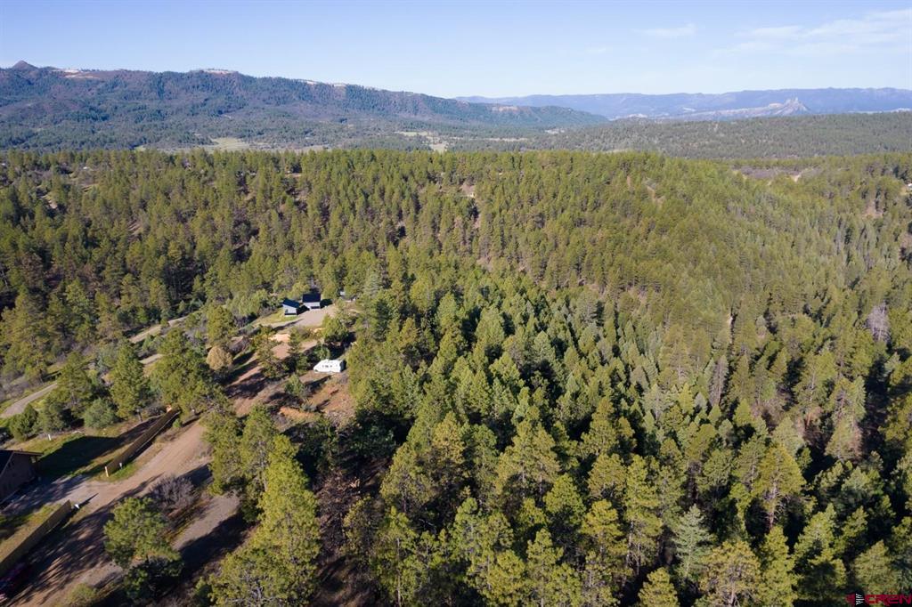 157 Carey's Court Pagosa Springs CO 81147