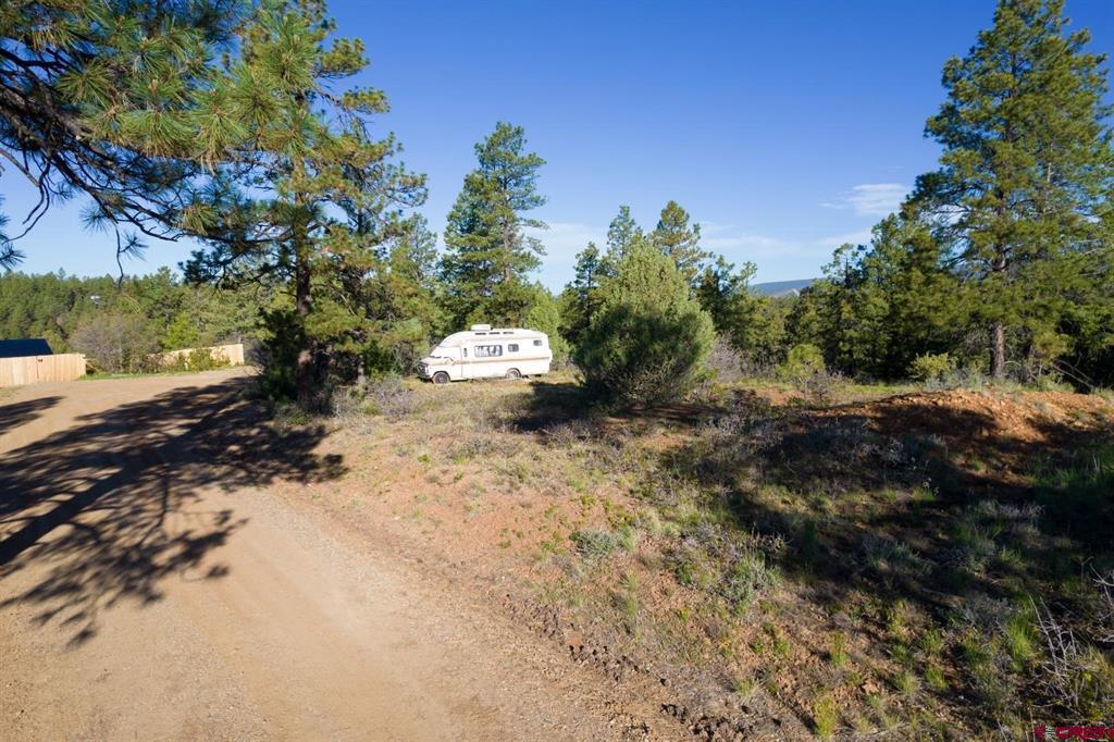 157 Carey's Court Pagosa Springs CO 81147