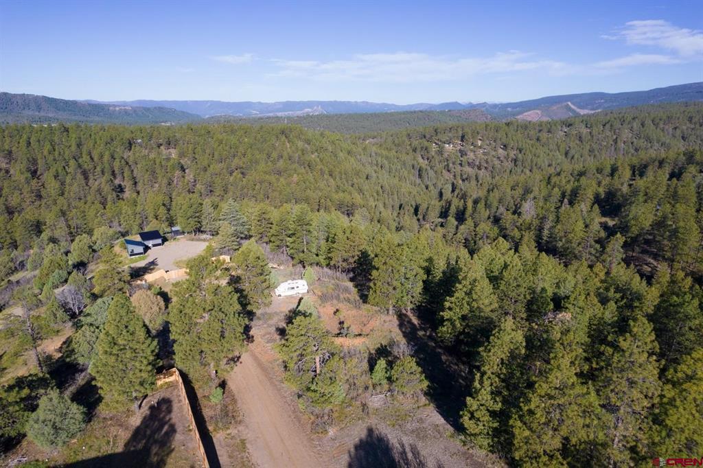 157 Carey's Court Pagosa Springs CO 81147