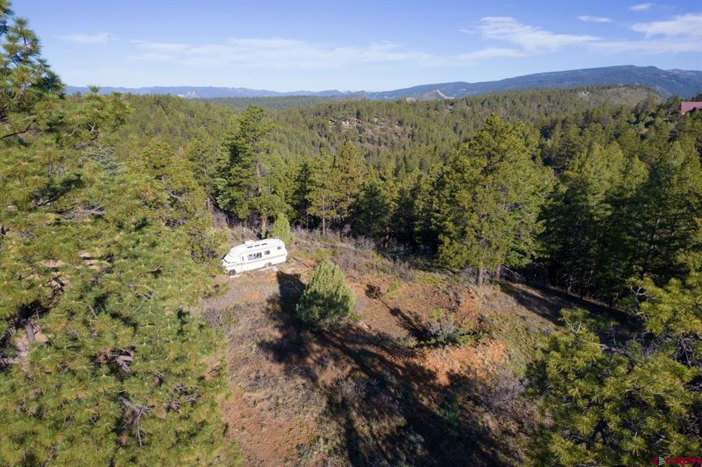 157 Carey's Court Pagosa Springs CO 81147
