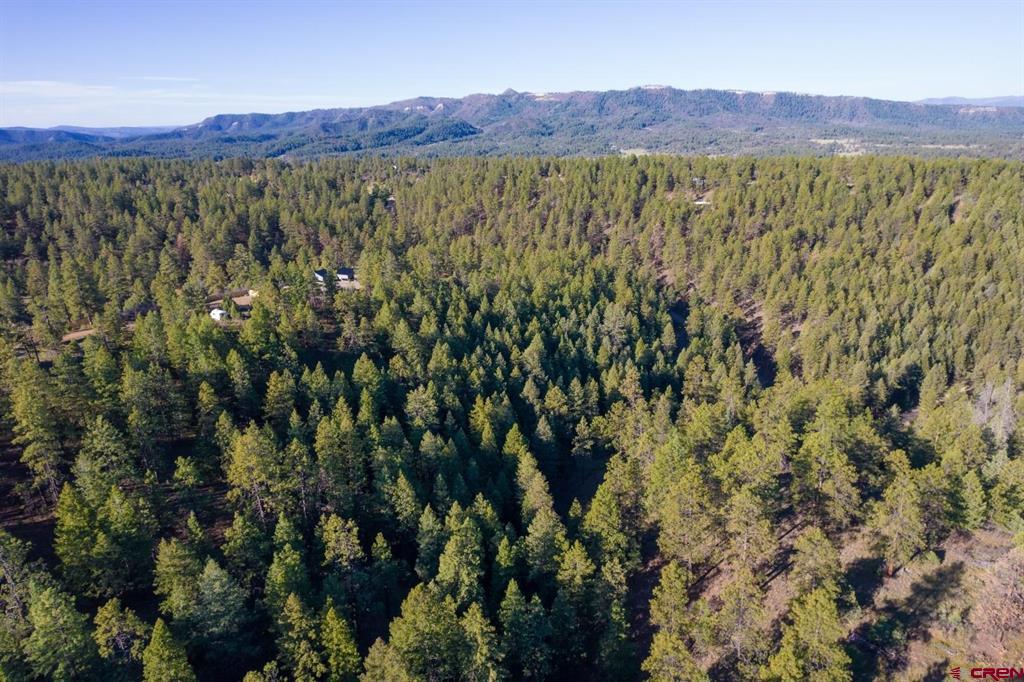 157 Carey's Court Pagosa Springs CO 81147