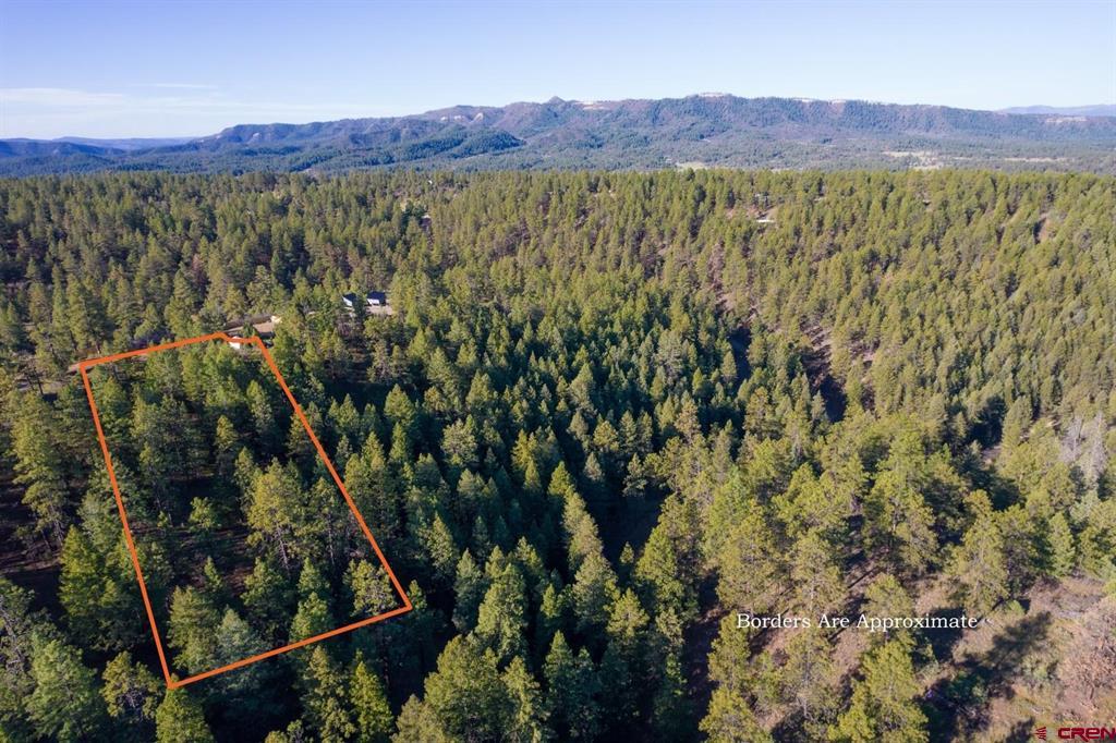 157 Carey's Court Pagosa Springs CO 81147