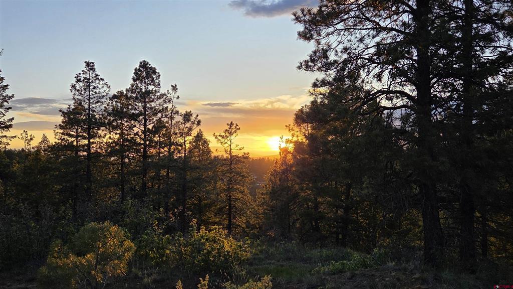 157 Carey's Court Pagosa Springs CO 81147