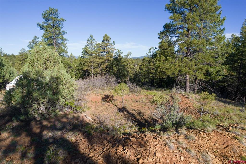 157 Carey's Court Pagosa Springs CO 81147