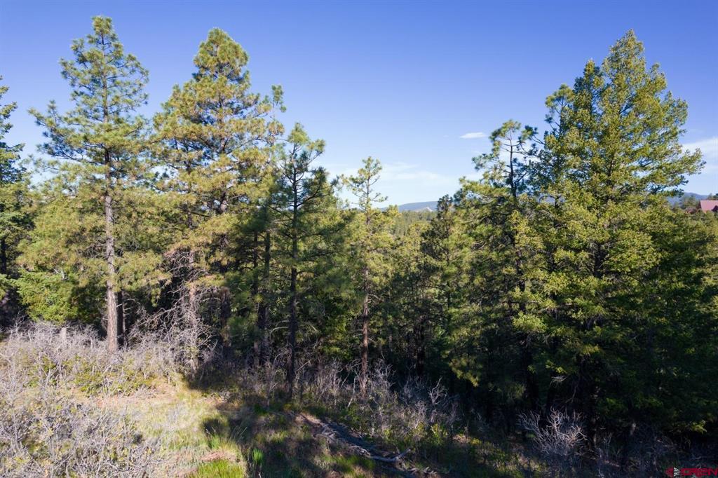 157 Carey's Court Pagosa Springs CO 81147