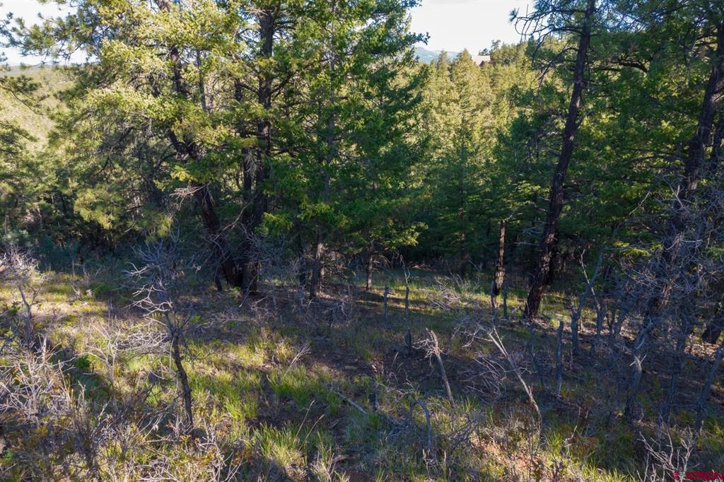 157 Carey's Court Pagosa Springs CO 81147