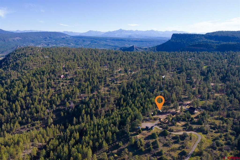 157 Carey's Court Pagosa Springs CO 81147